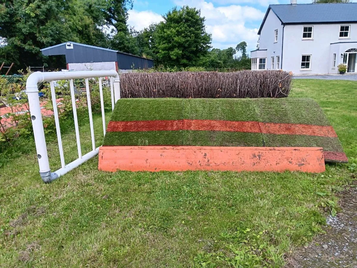Schooling jumps - Image 2