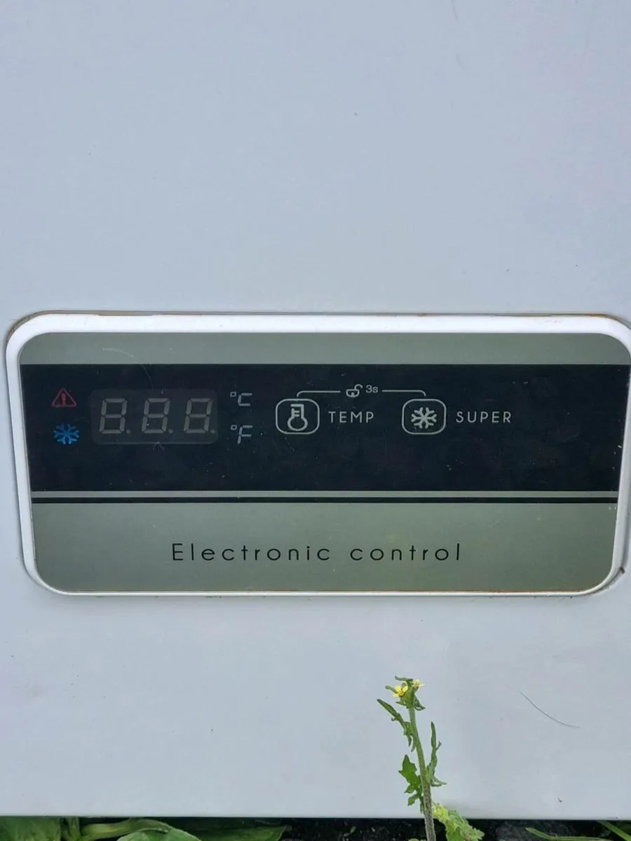 Freezer - Image 2