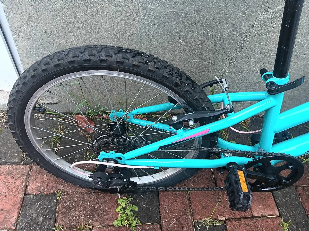bike - Image 3