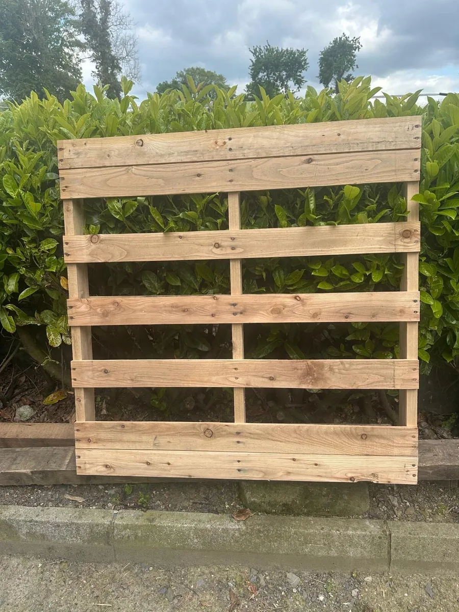 Pallets for sale - Image 2