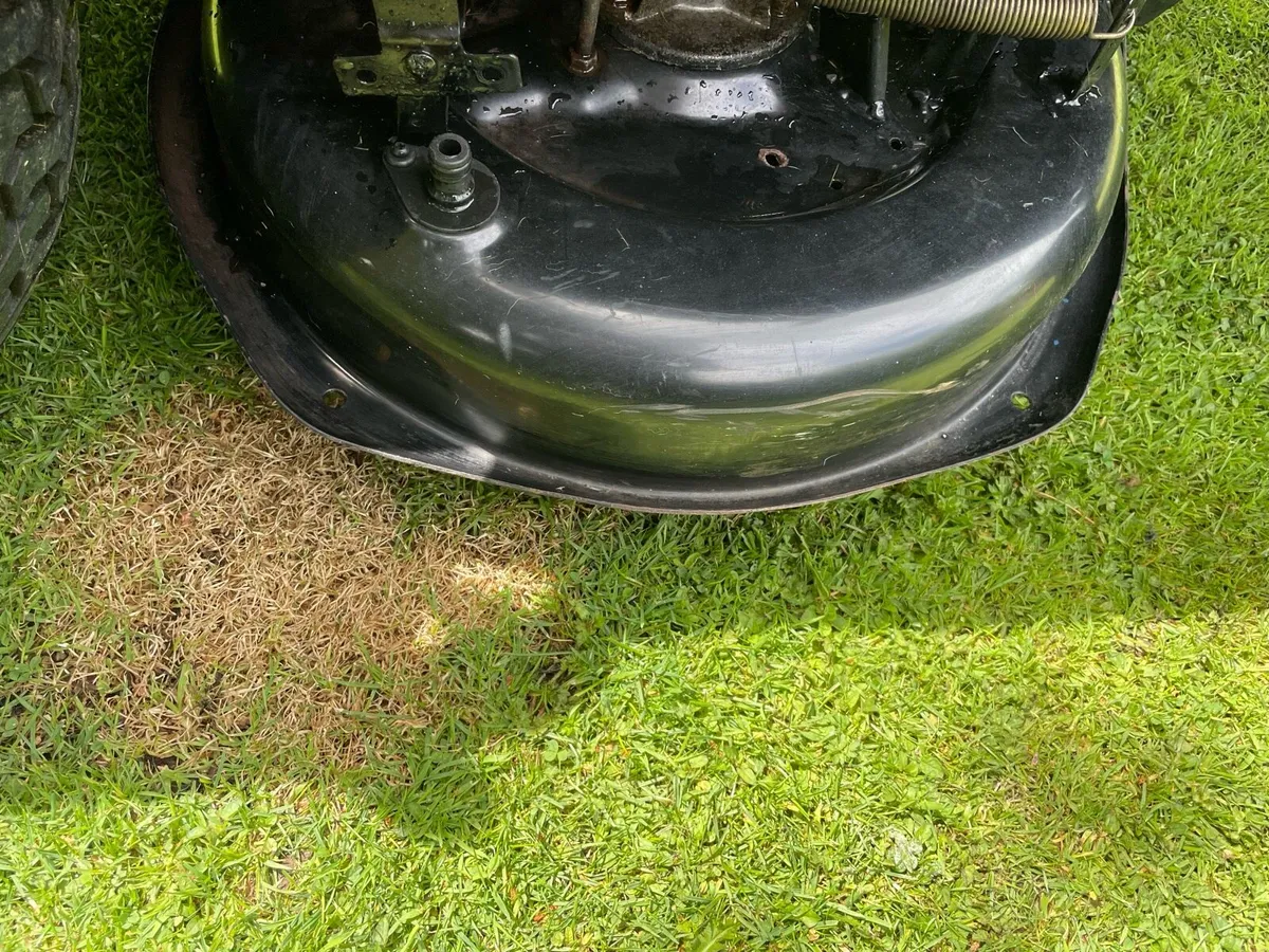 Ride On Lawnmower - Image 3