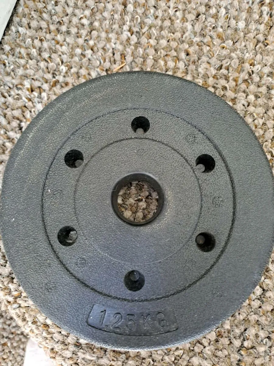 Free weights 8 in total - Image 2