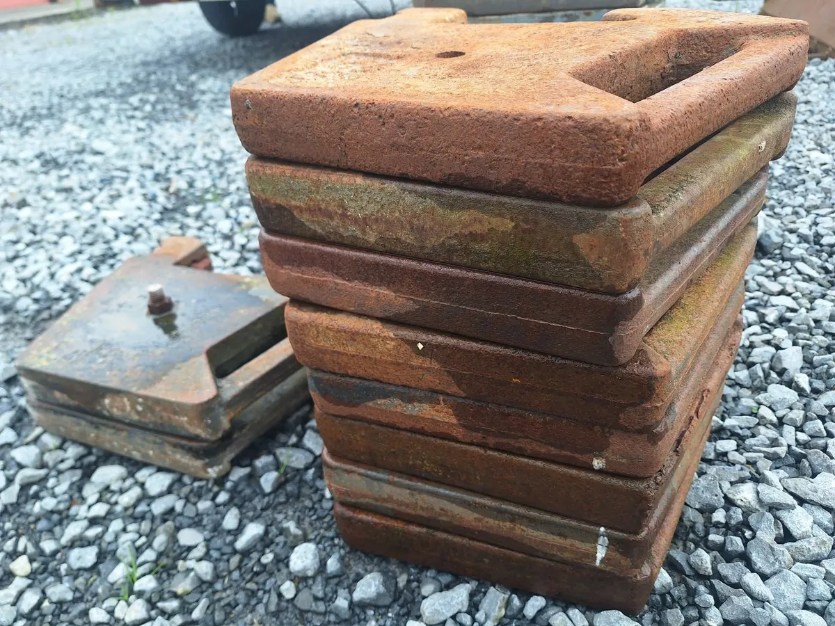 Massey Ferguson Weights - Image 4