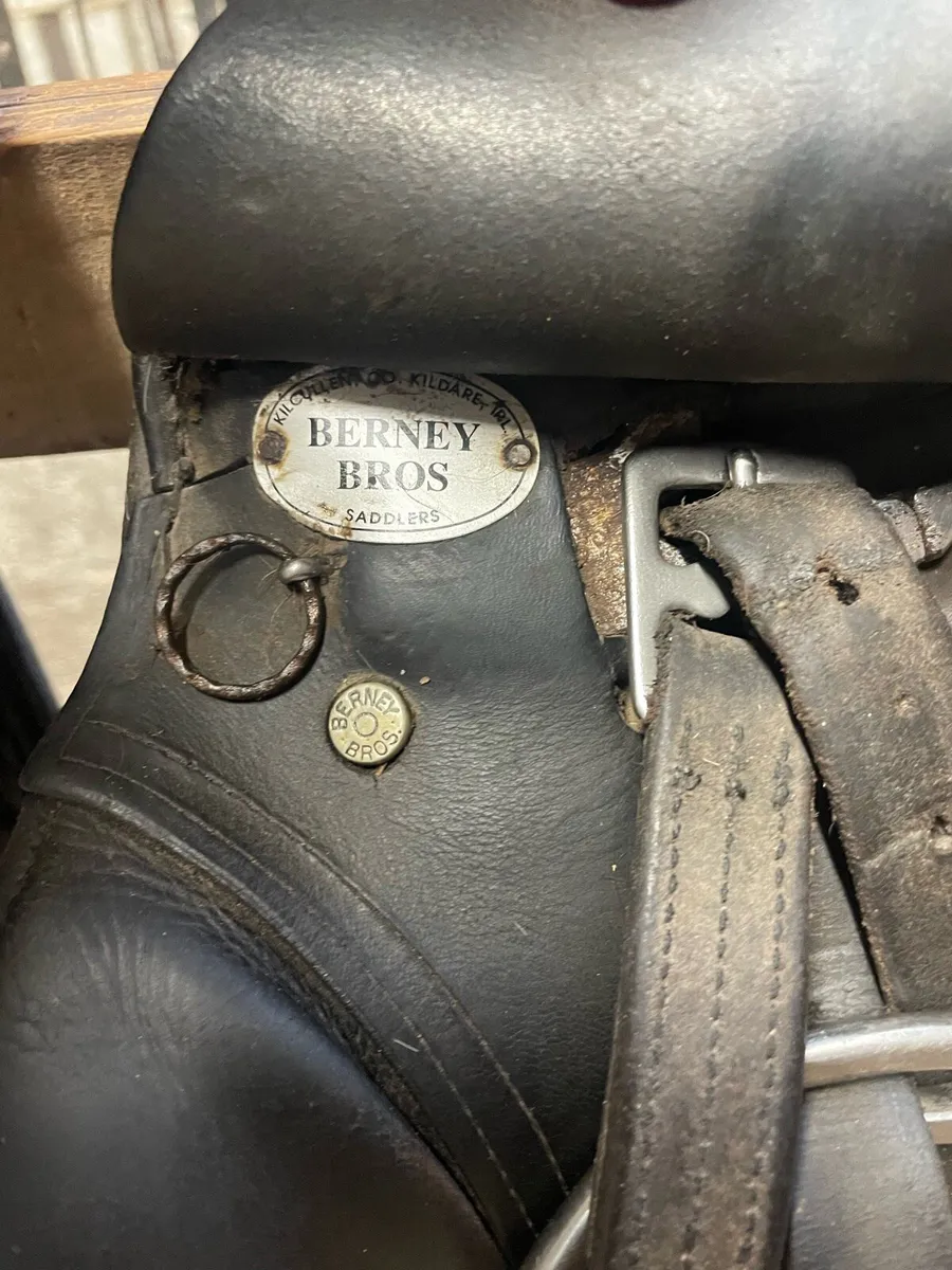 Berney Saddle - Image 2