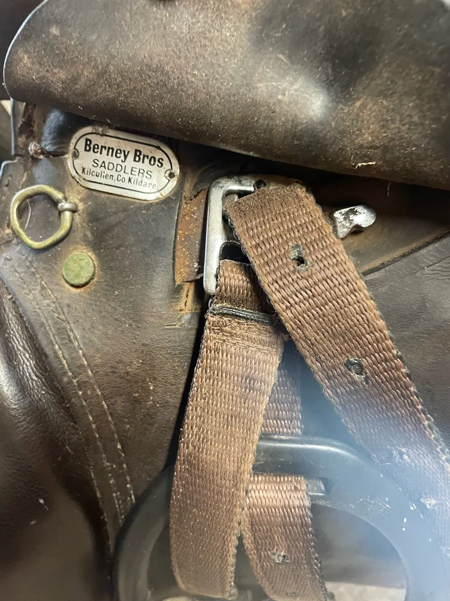 Berney saddle - Image 2