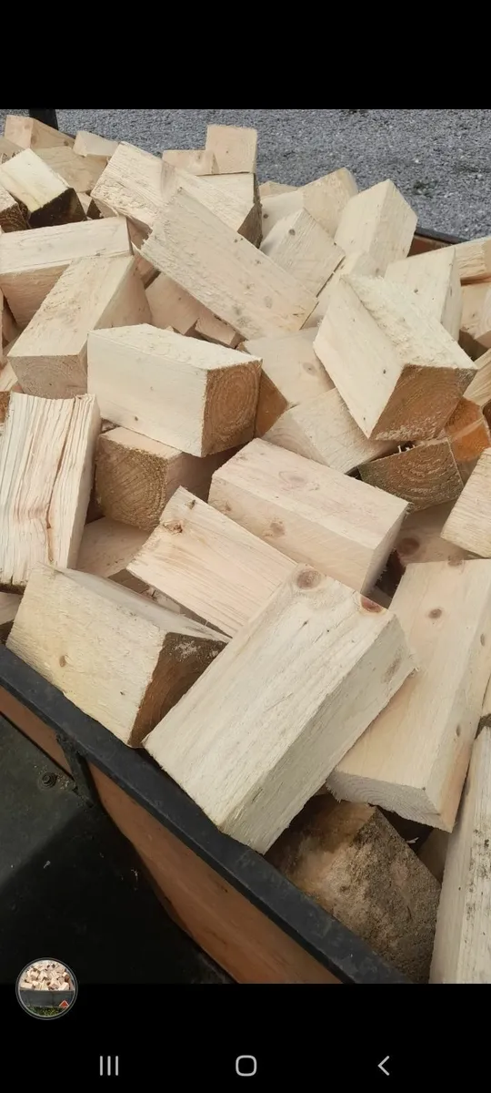 Firing - Image 1