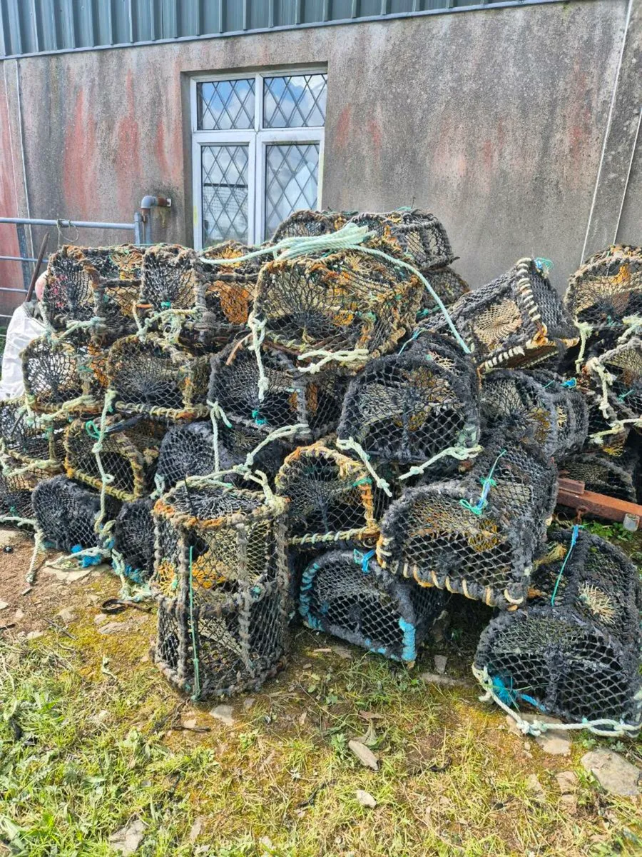 Pots - Image 4