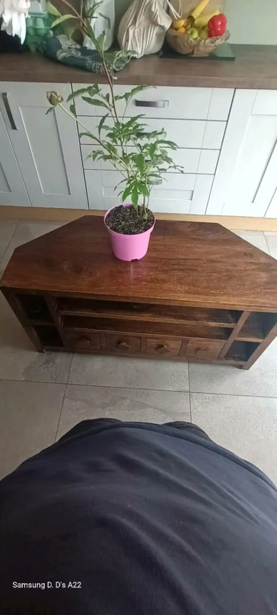 TV stand - Image 1
