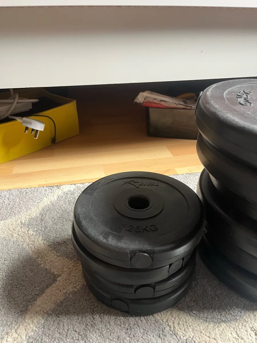 Gym weights - Image 2