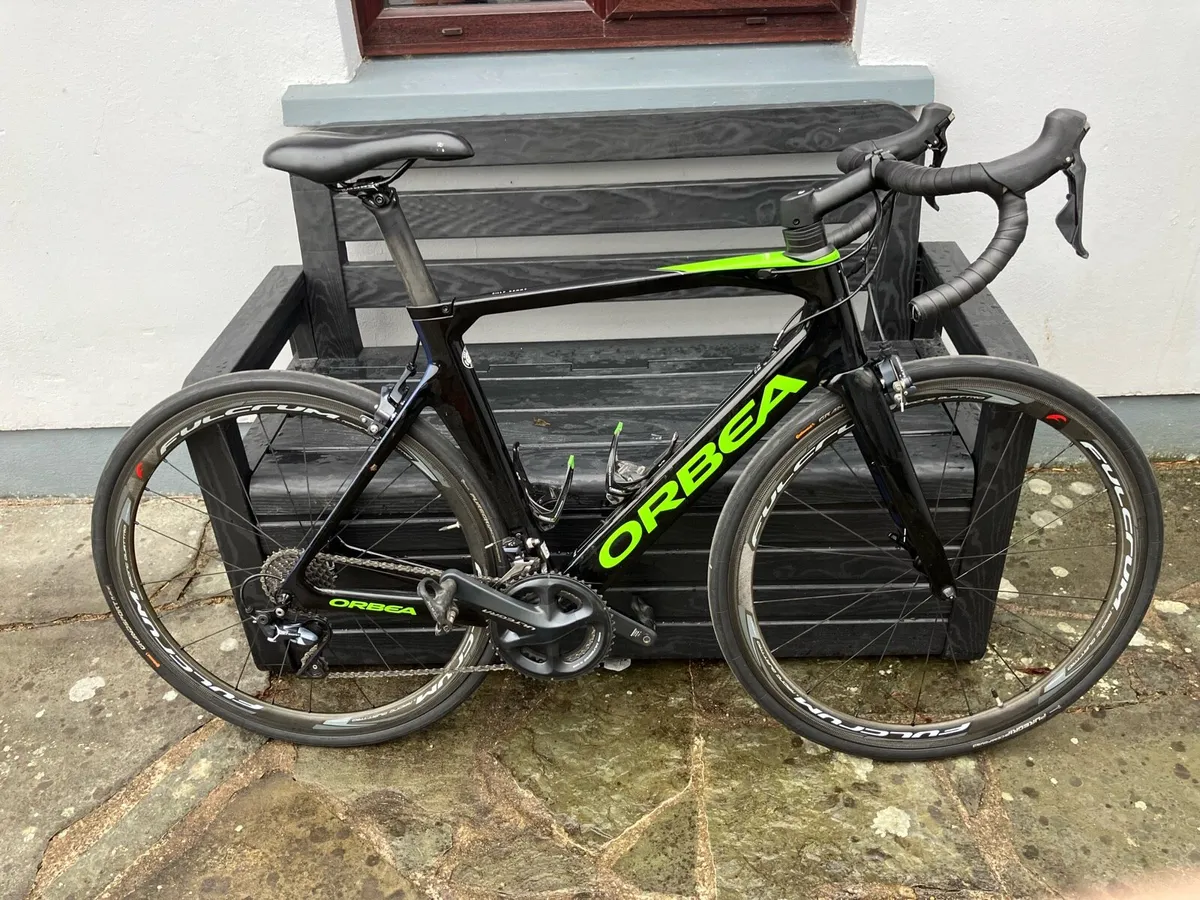 Adult Bicycle