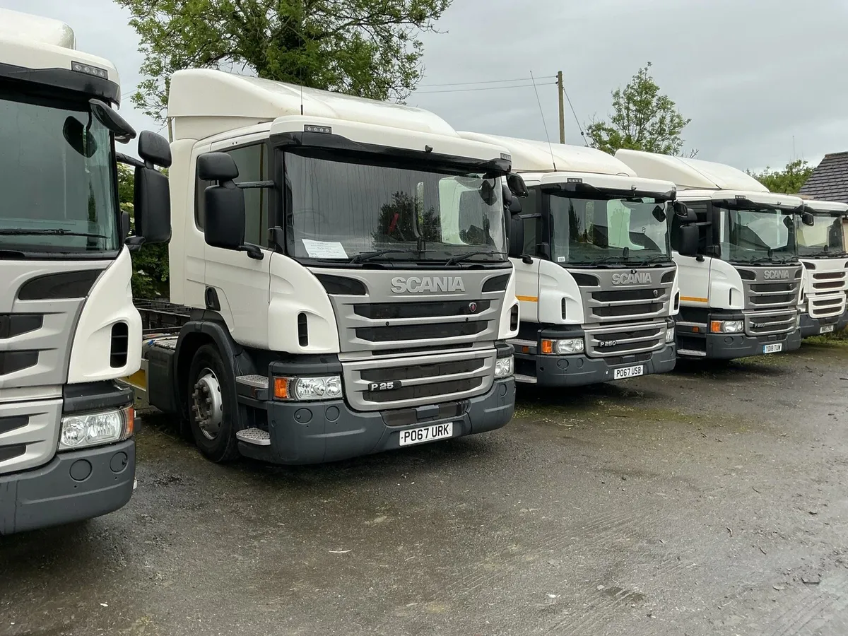 Scania p250 rigid - Image 1
