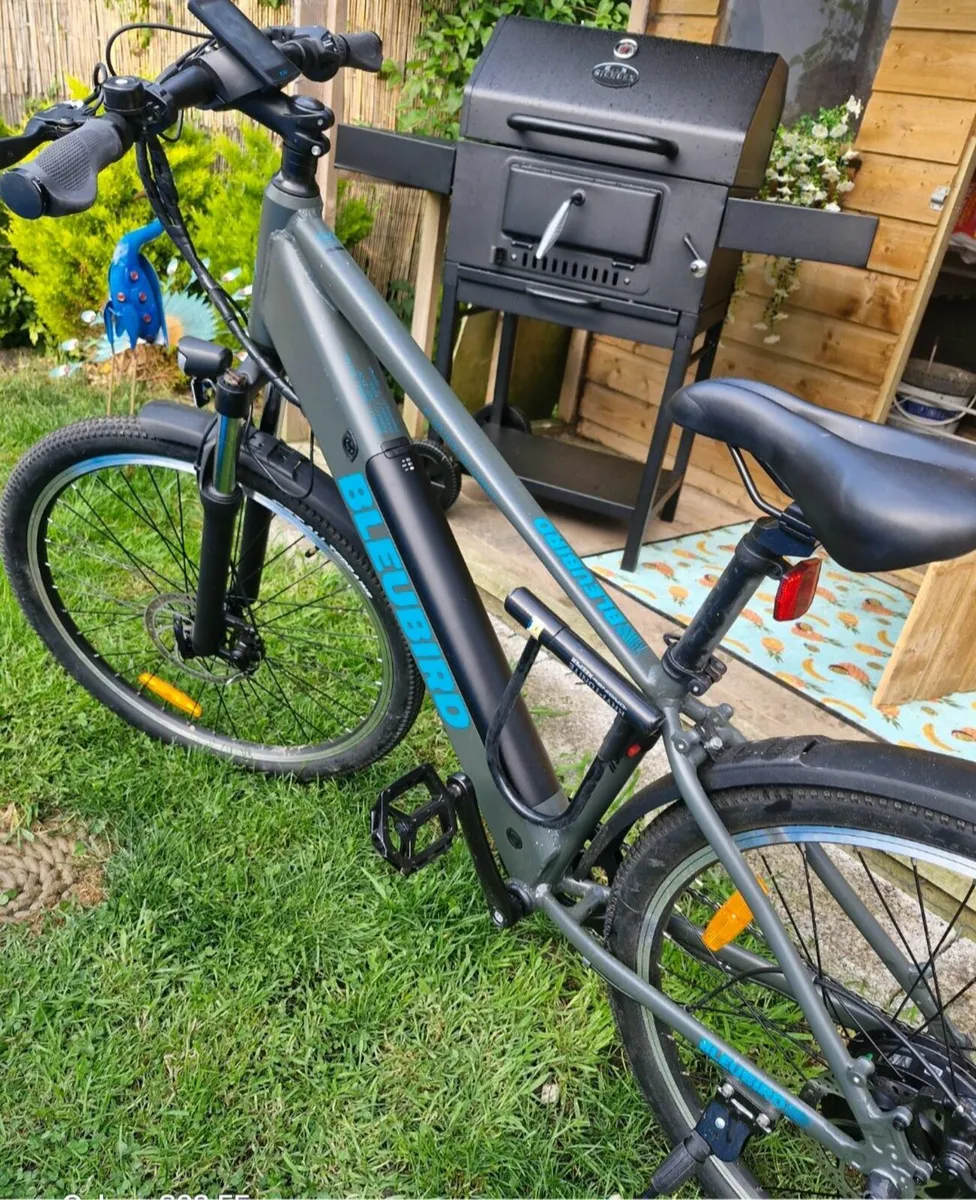 NEW Bluebird hardtail hybrid e - bike - Image 2