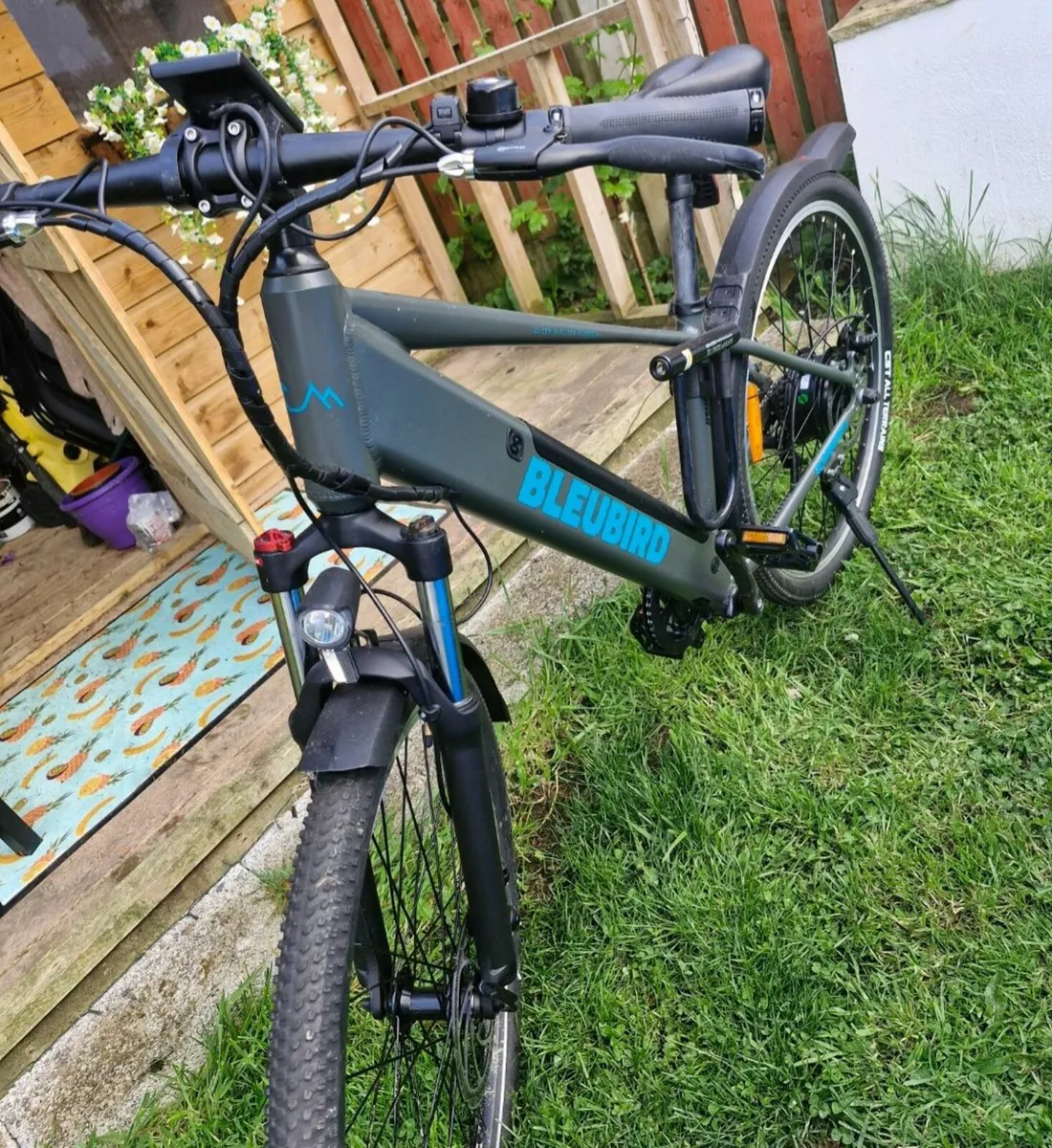 NEW Bluebird hardtail hybrid e - bike - Image 4
