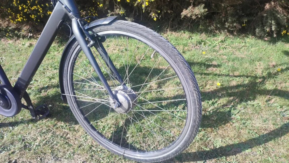 ebike - Image 4