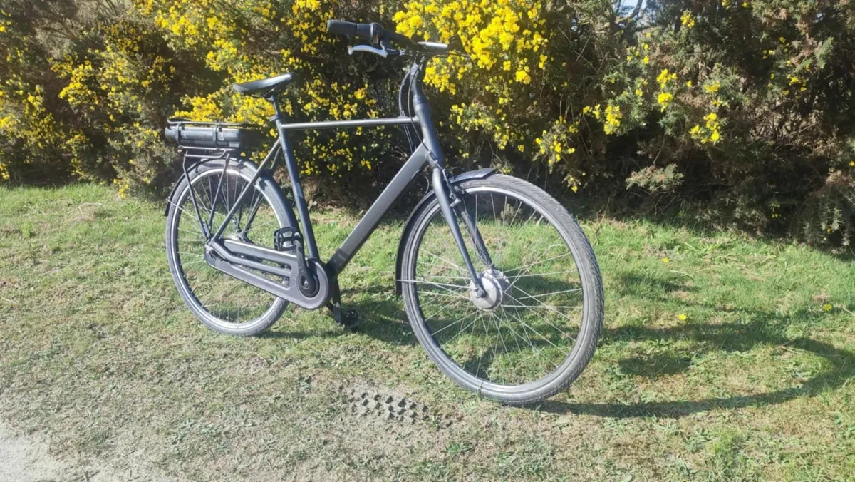 ebike - Image 1