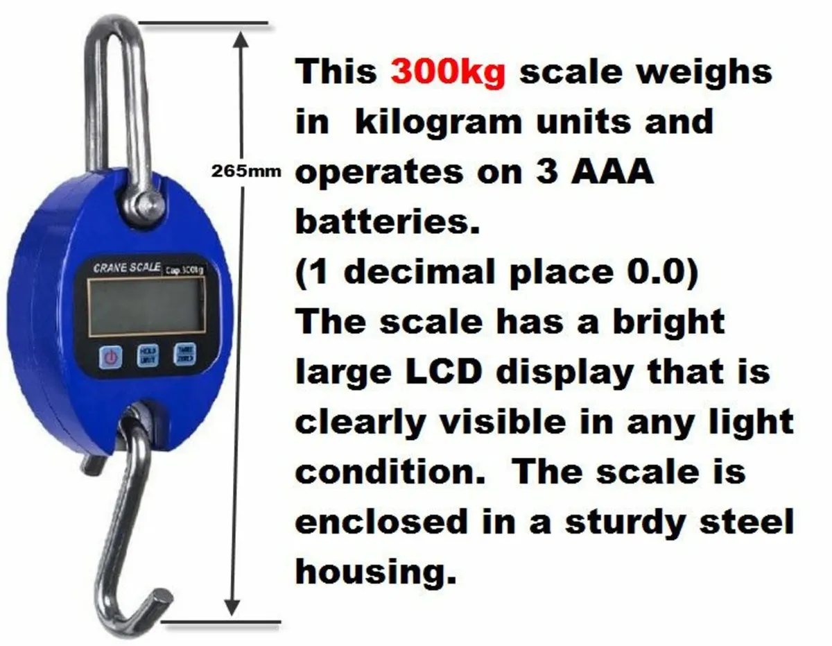 300 kg digital scales - Image 1