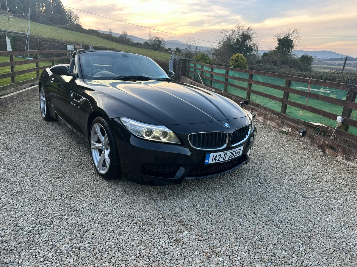 BMW Z4 Cabrio 2.0 Auto - Image 1