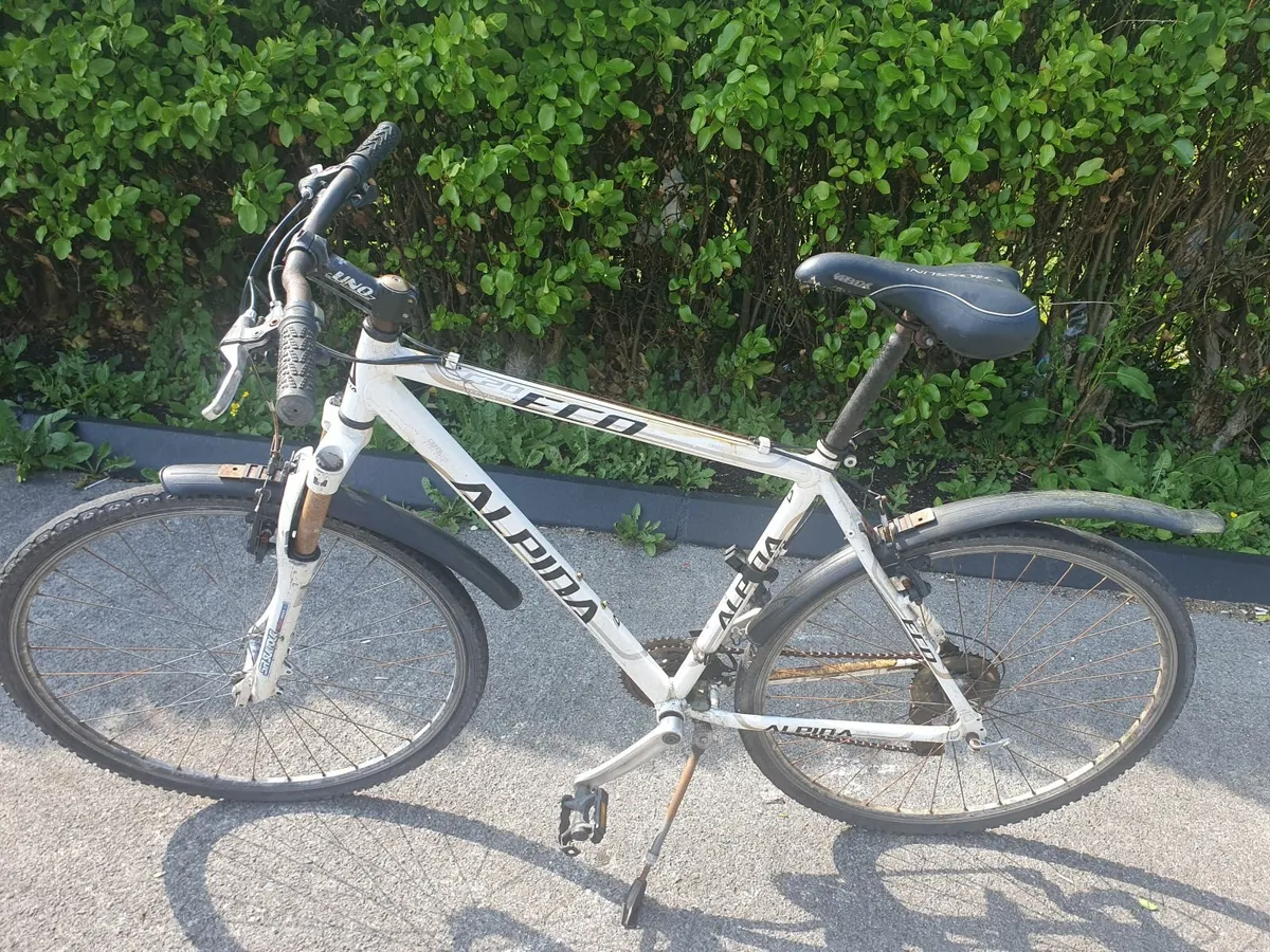 Eco alpina adult bike - Image 1