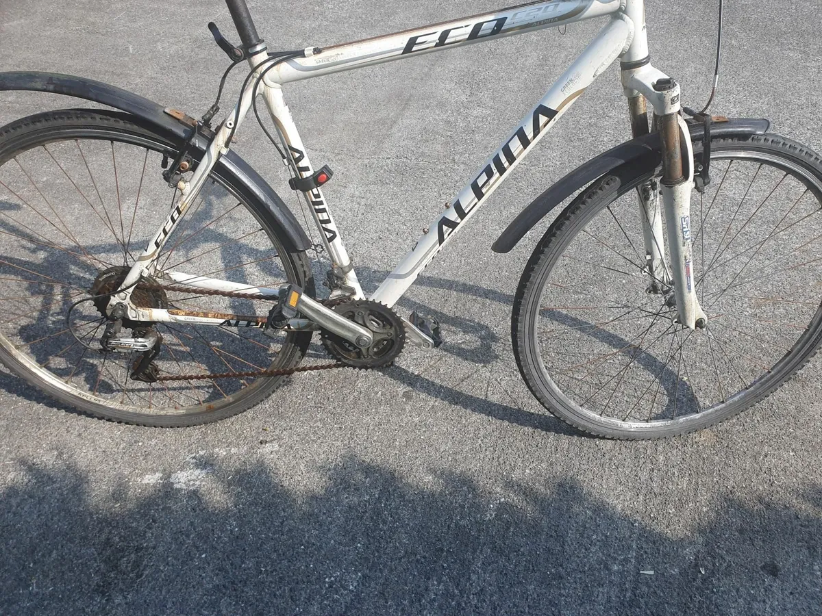 Eco alpina adult bike - Image 3