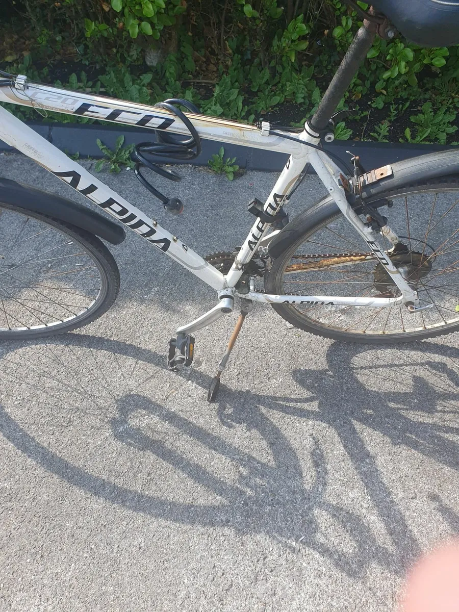 Eco alpina adult bike - Image 4
