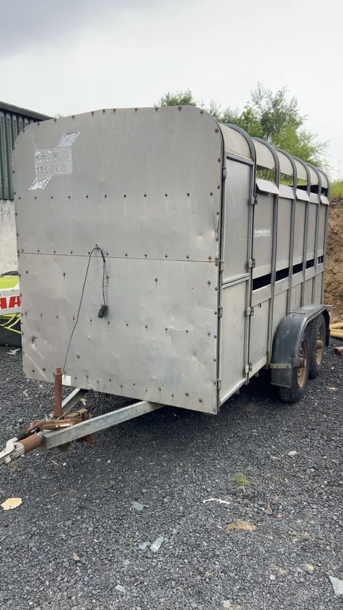Ifor Williams cattle trailer - Image 3