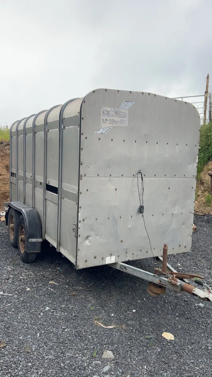 Ifor Williams cattle trailer - Image 4