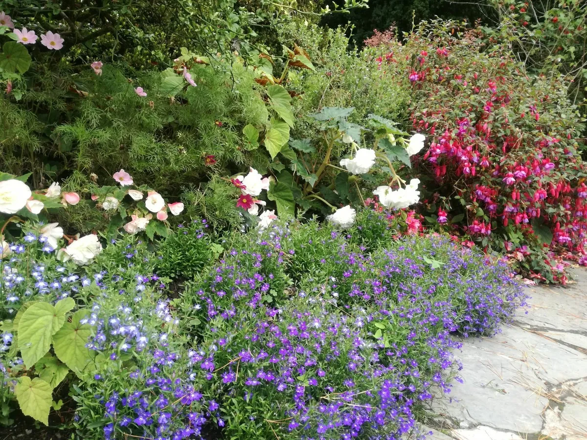 Gardening and Landscaping Service - Image 1