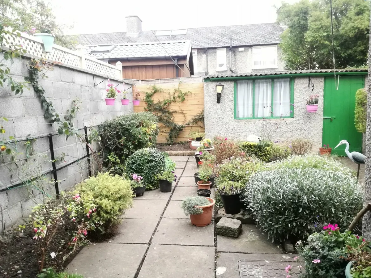 Gardening and Landscaping Service - Image 4