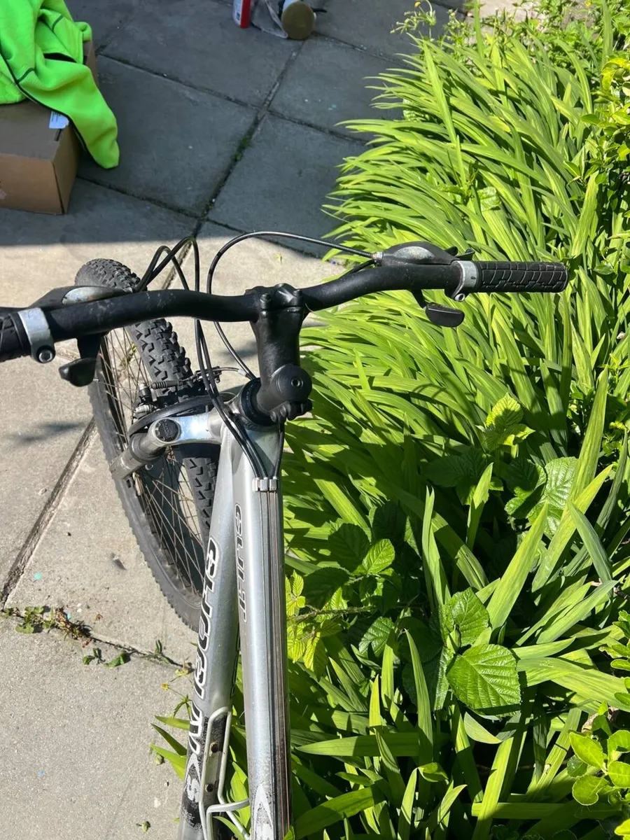 Bike - Image 4
