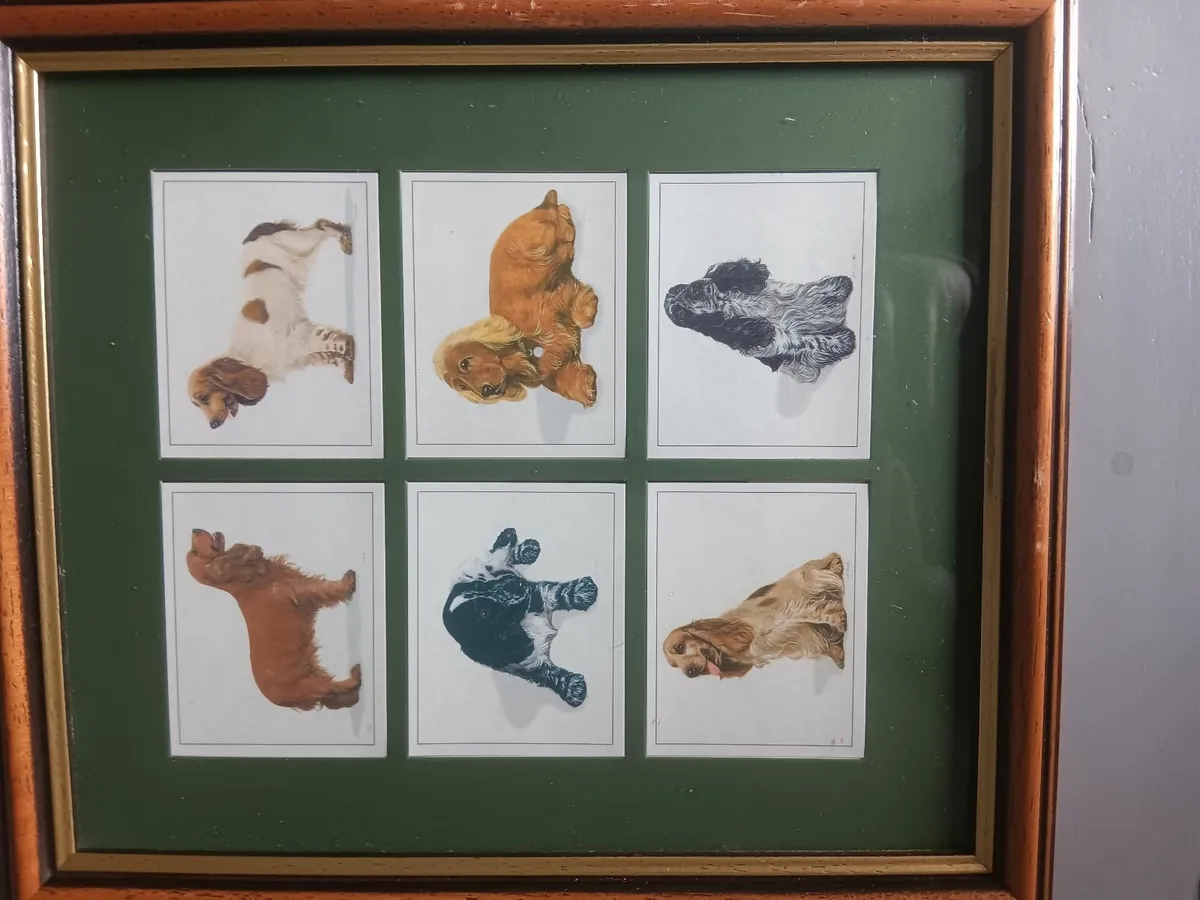 Framed cigarette cards - Image 1