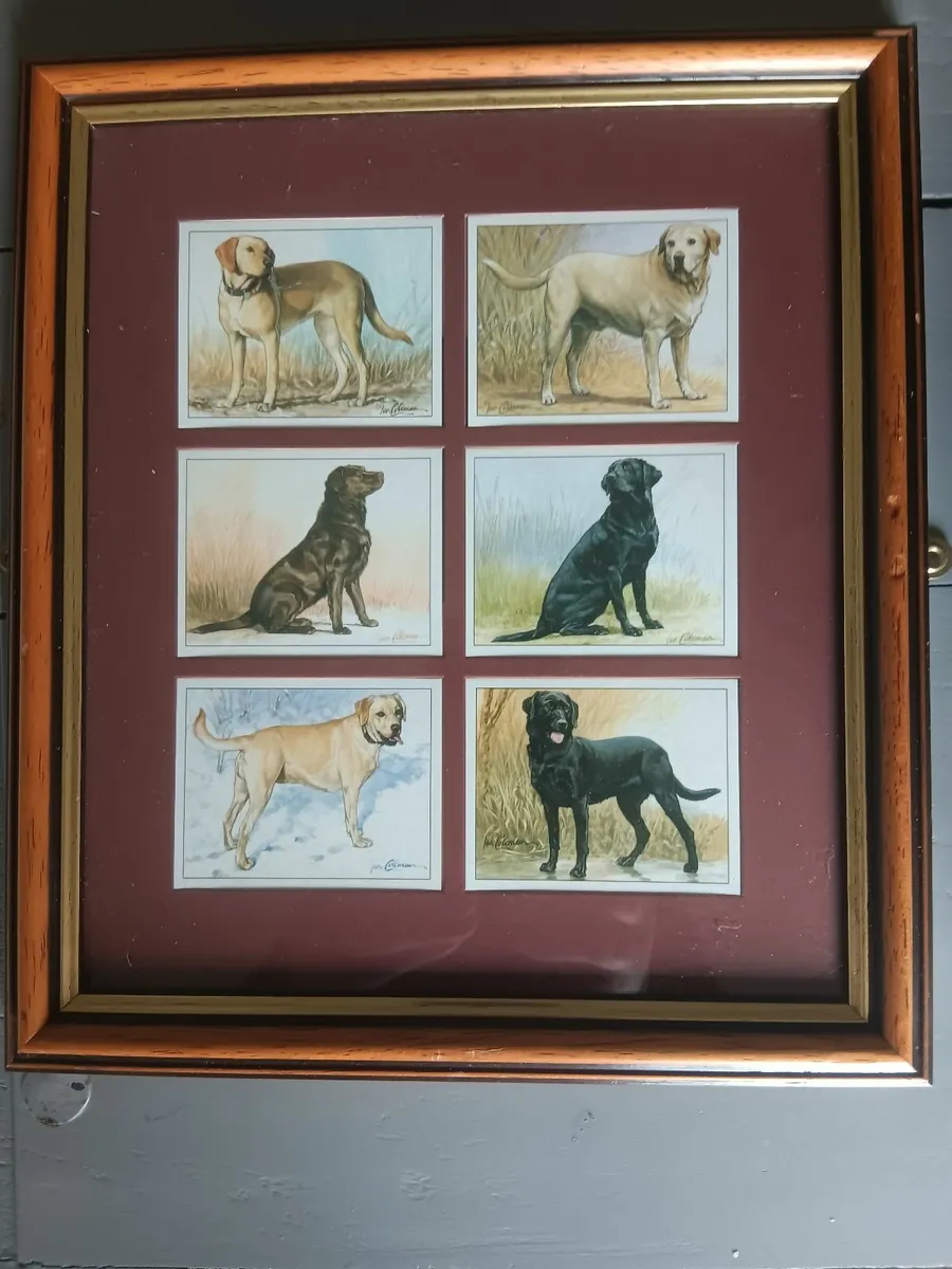 Framed cigarette cards - Image 2