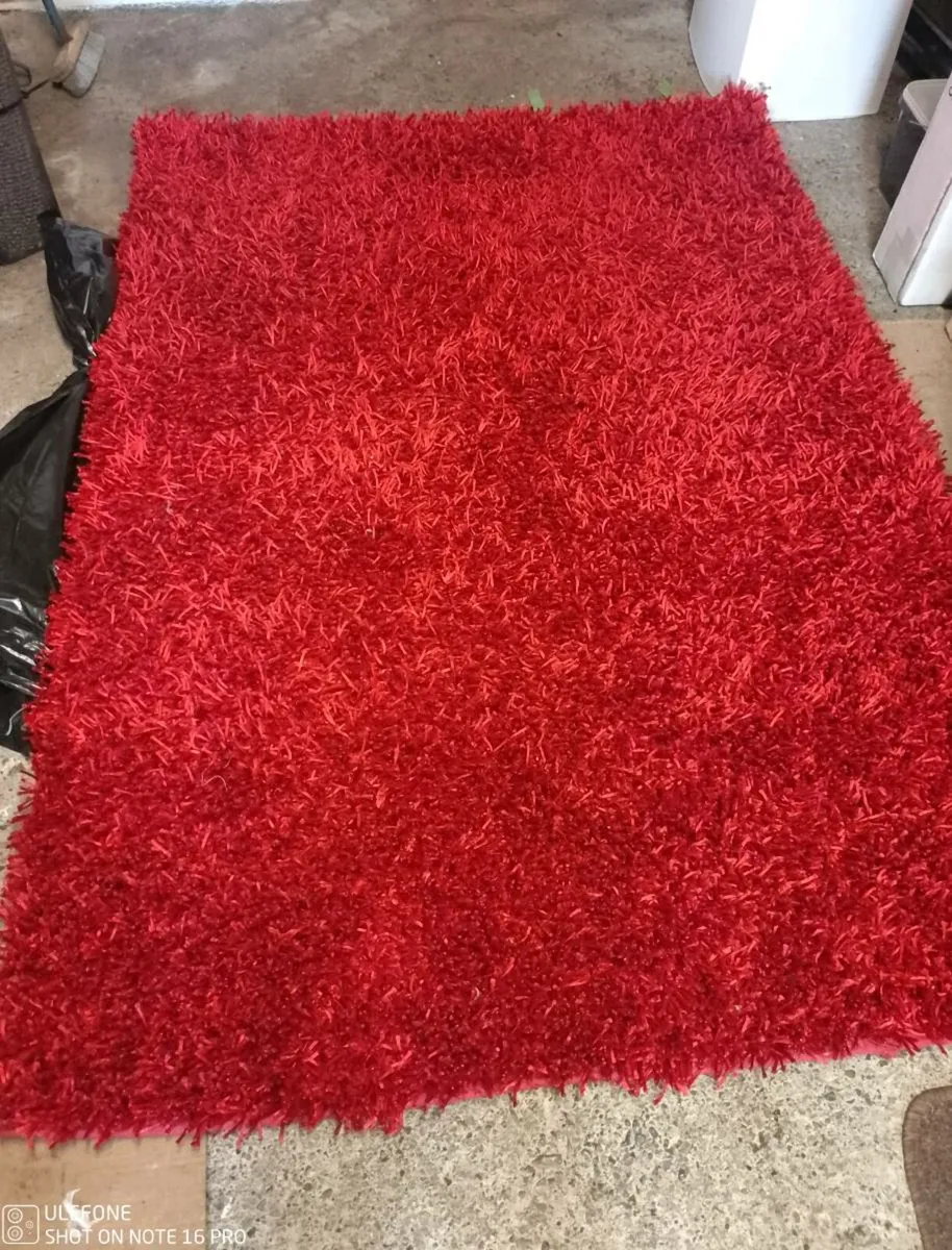 Rug - Image 1