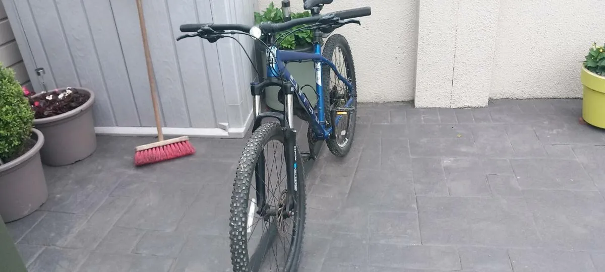 Bike - Image 1