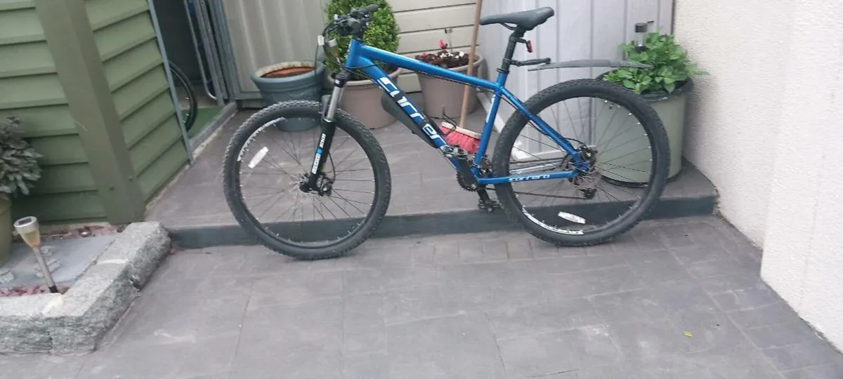 Bike - Image 2