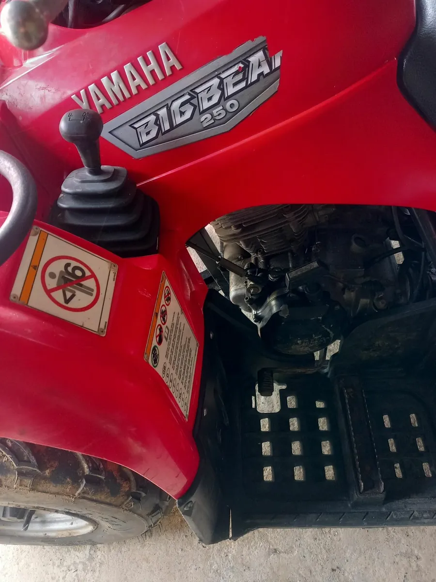 Yamaha big bear 250 - Image 3