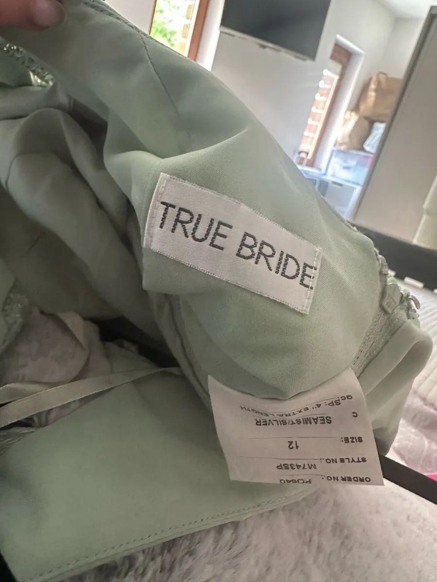 New bridesmaids dresses never worn - Image 1