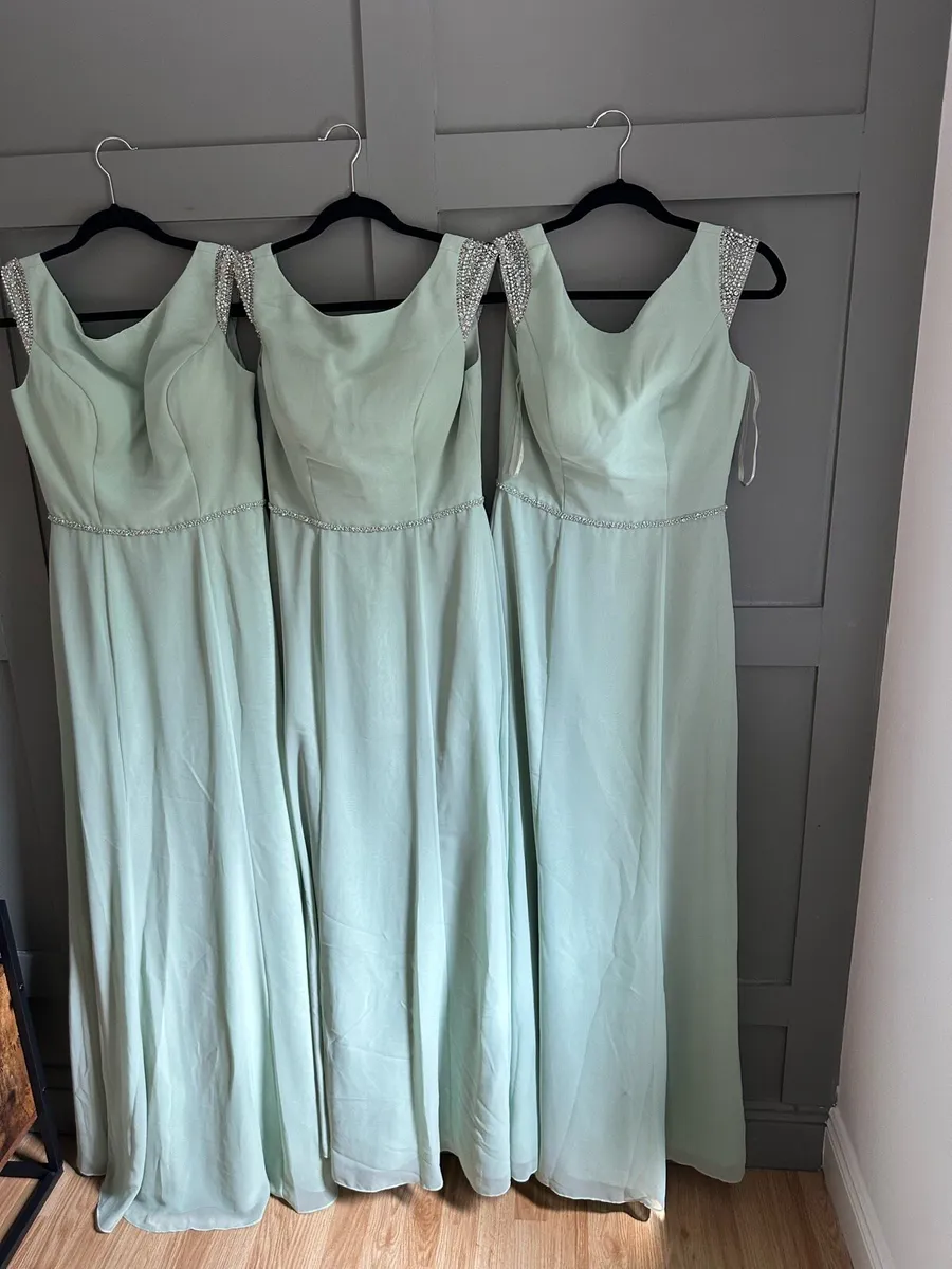 New bridesmaids dresses never worn - Image 4