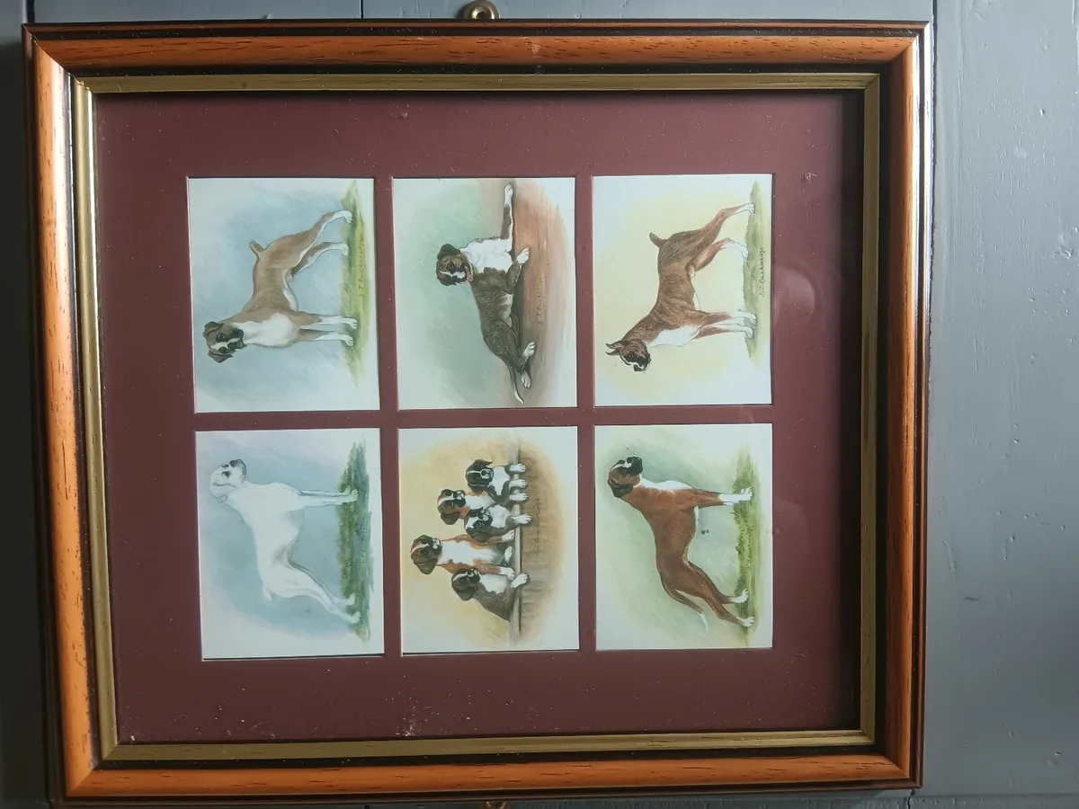 Framed cigarette cards - Image 3
