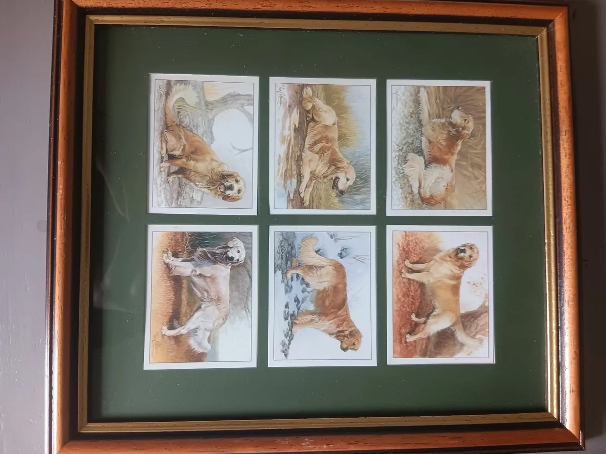 Framed cigarette cards - Image 4