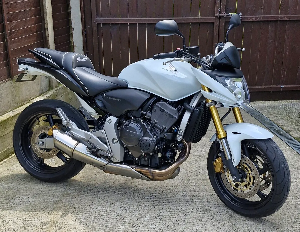 HONDA HORNET 600CC 2009 - Image 1