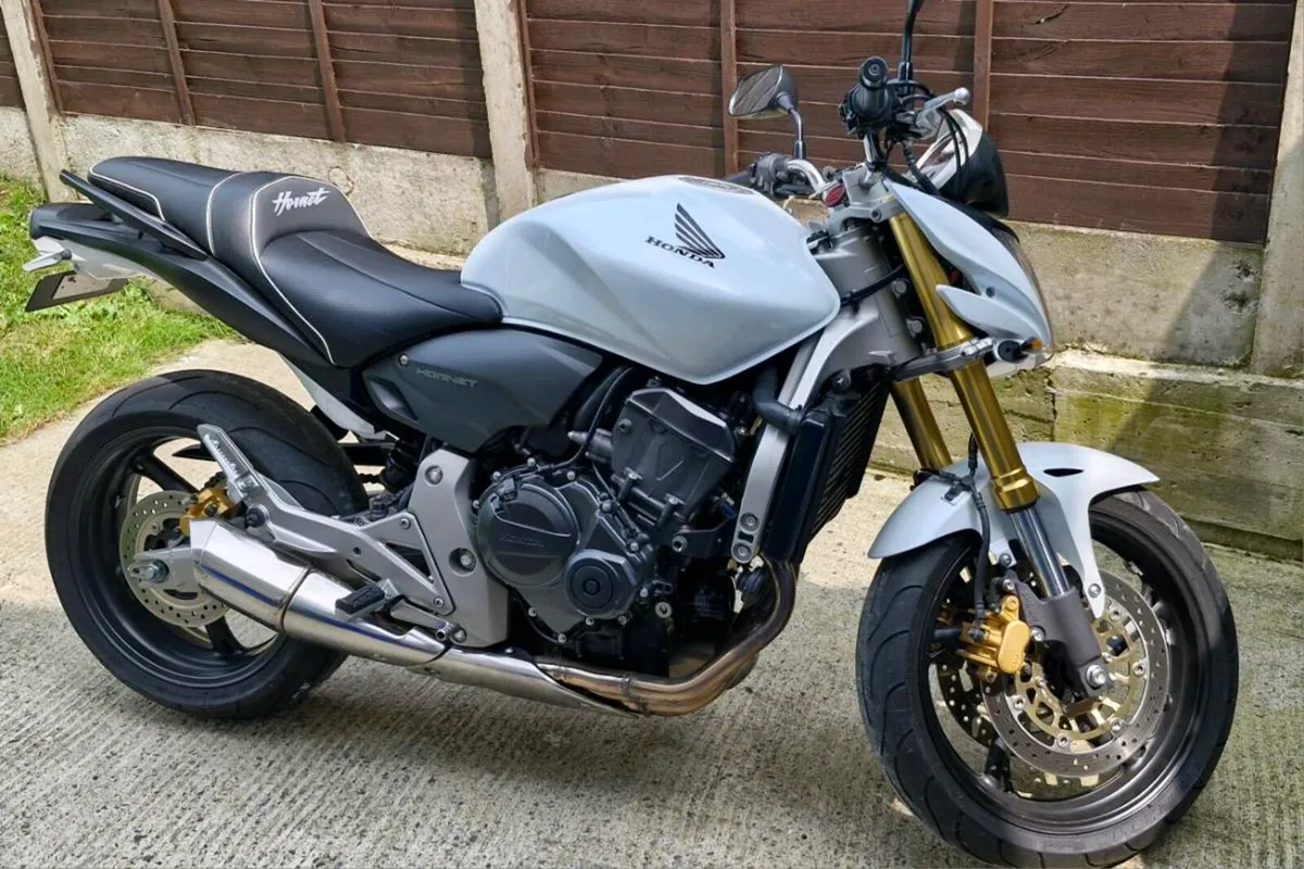HONDA HORNET 600CC 2009 - Image 2