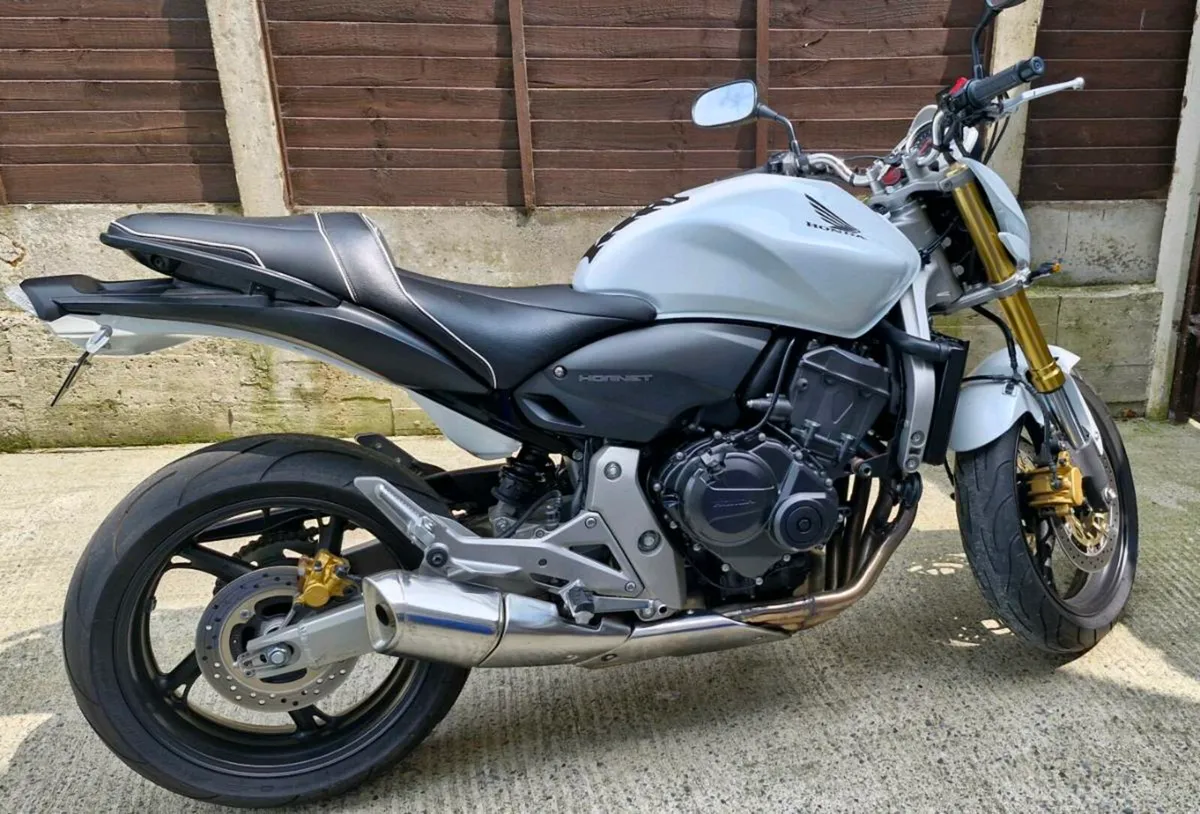 HONDA HORNET 600CC 2009 - Image 3