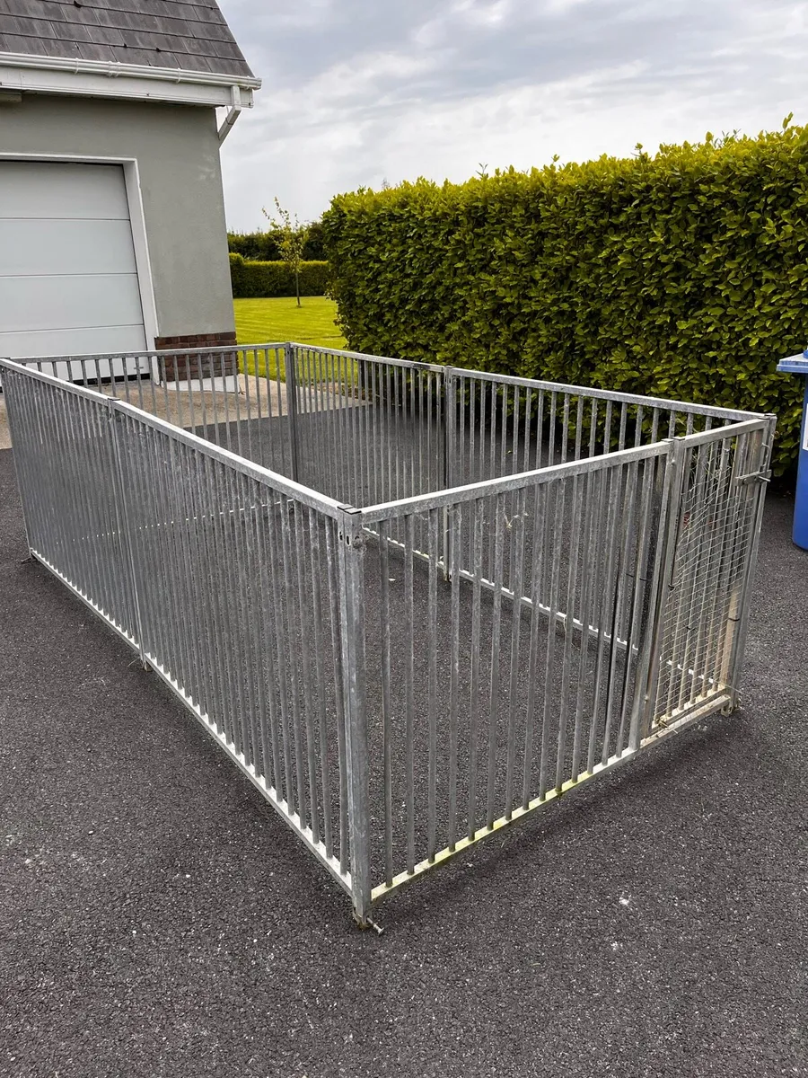 Dog Run - Image 2