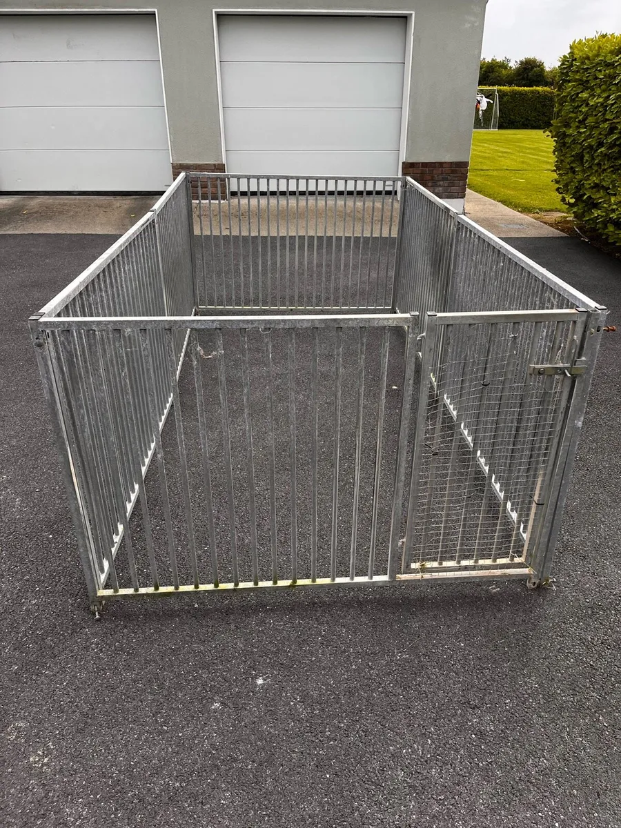 Dog Run - Image 3