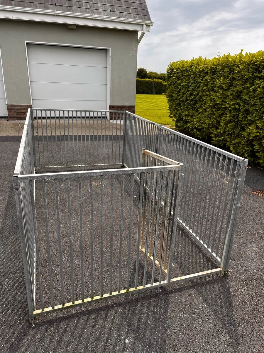 Dog Run - Image 4
