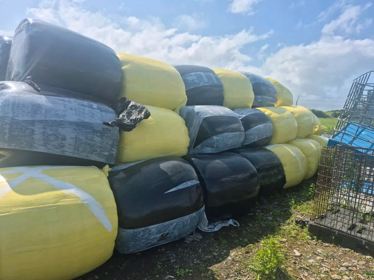 Silage for sale - Image 2