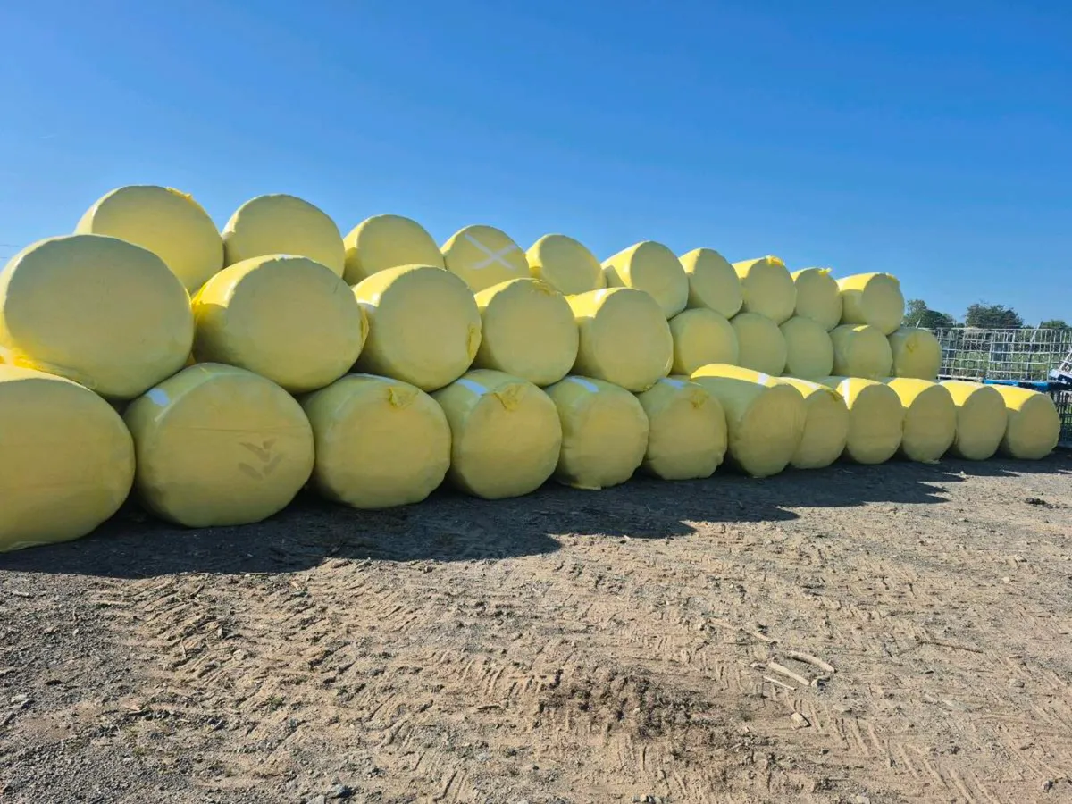 Silage for sale - Image 1