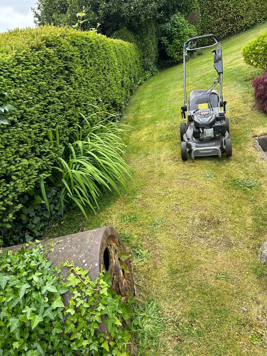 ☘️CORK GARDEN SERVICES