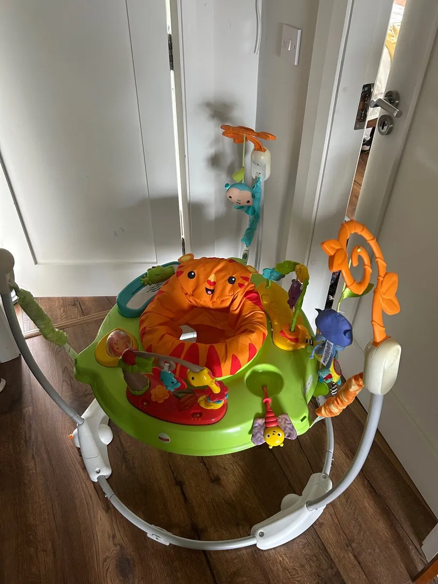 Fisher-Price Roarin' Rainforest Jumperoo