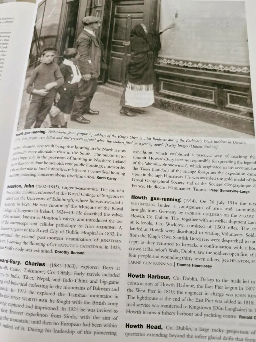 Encyclopedia of Ireland - Image 3